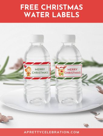 Hydrate in Style: Free Printable Christmas Water Labels to Add Festive ...